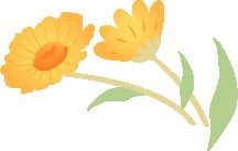 河北张氏香江集团定州市开元学校初二年级致家长的第三封信